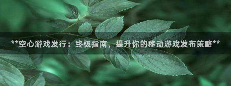 新宝gg奇迹登录怎么登录不了