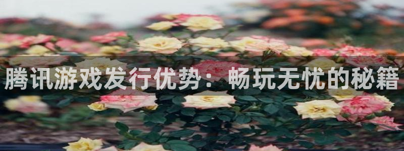 新宝gg创造奇迹官方登录