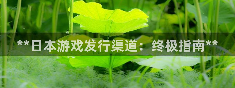 新宝gg官网客户端下载：**日本游戏发行渠道：终极指南**