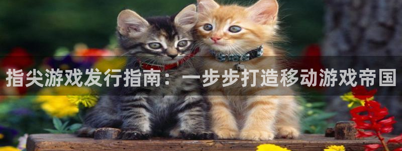 新宝gg创造奇迹官网：指尖游戏发行指南：一步步打造移动游戏帝国