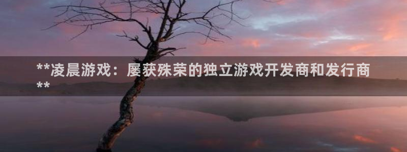 新宝gg开奖假不假：**凌晨游戏：屡获殊荣的独立游戏开发商和发行商
**