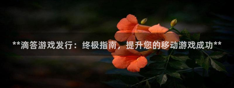 新宝gg登录入口：**滴答游戏发行：终极指南，提升您的移动游戏成功**