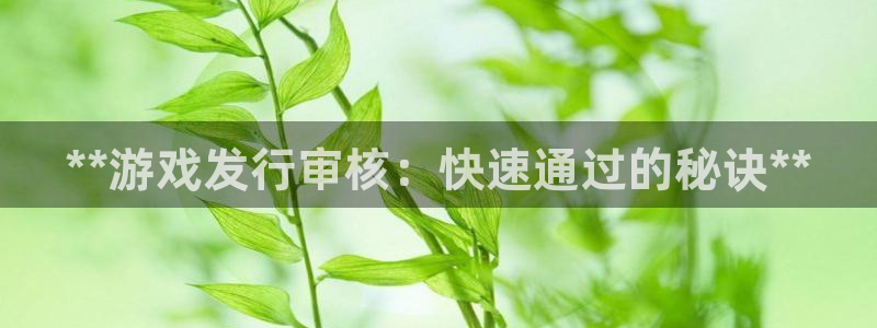 新宝gg上线被抓：**游戏发行审核：快速通过的秘诀**
