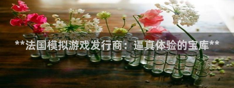 新宝gg一创造奇迹代理：**法国模拟游戏发行商：逼真体验的宝库**