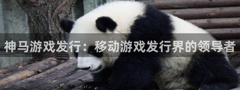 新宝gg怎么退钱：神马游戏发行：移动游戏发行界的领导者