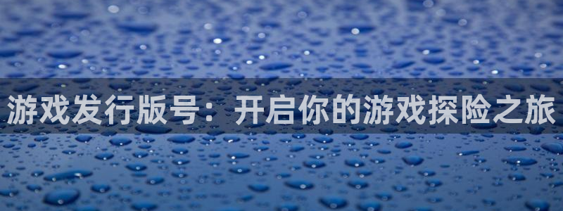 新宝gg官网最新版本更新内容介绍：游戏发行版号：开启你的游戏探险之旅