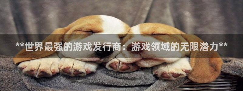 新宝GG平台登录注册：**世界最强的游戏发行商：游戏领域的无限潜力**