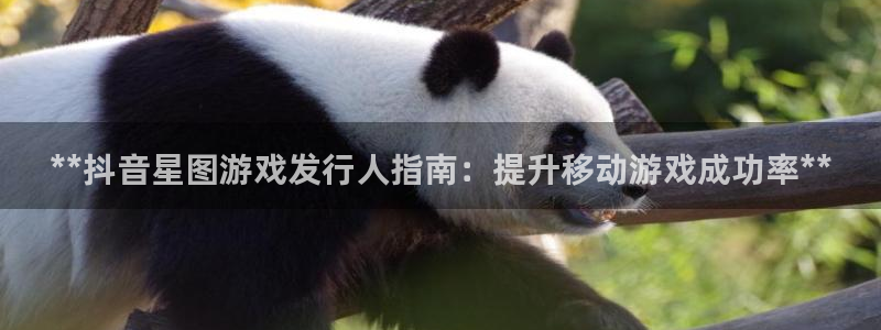 新宝gg登录不上去了：**抖音星图游戏发行人指南：提升移动游戏成功率**