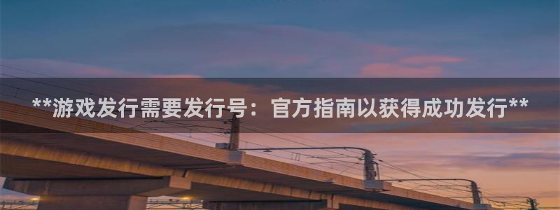 新宝gg创造奇迹登录注册入口：**游戏发行需要发行号：官方指南以获得成功发行**