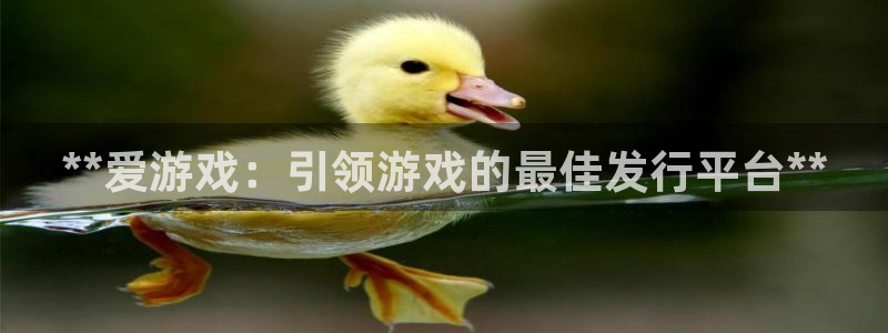 新宝gg创造奇迹登录入口网址：**爱游戏：引领游戏的最佳发行平台**