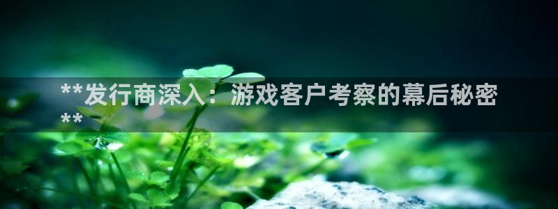 新宝gg创造奇迹登录入口网址：**发行商深入：游戏客户考察的幕后秘密
**