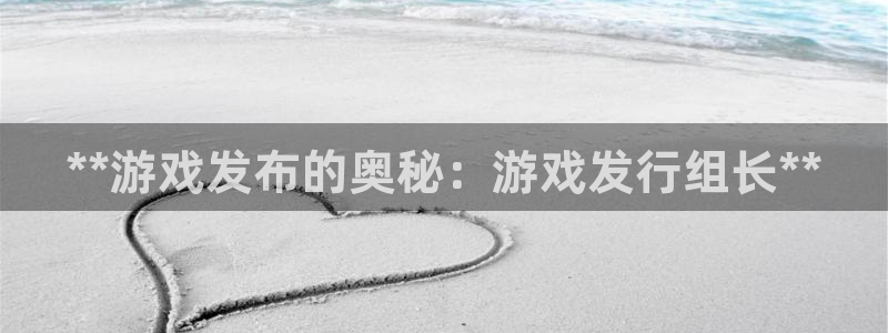 新宝gg提现不到账了?：**游戏发布的奥秘：游戏发行组长**