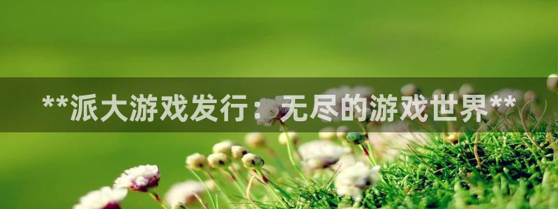 新宝gg — 创造奇迹!：**派大游戏发行：无尽的游戏世界**