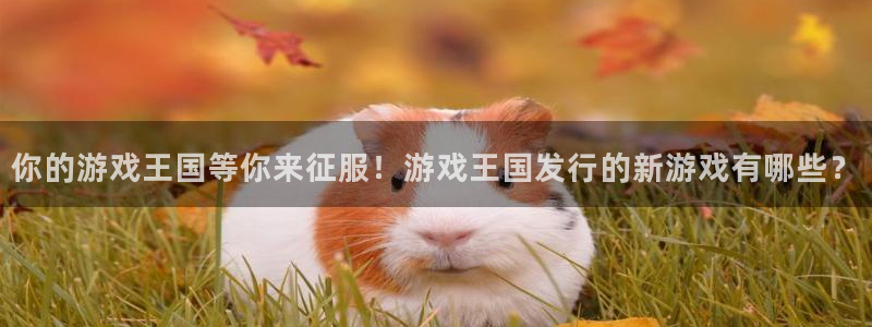 新宝gg创造奇迹平台怎么样：你的游戏王国等你来征服！游戏王国发行的新游戏有哪些？