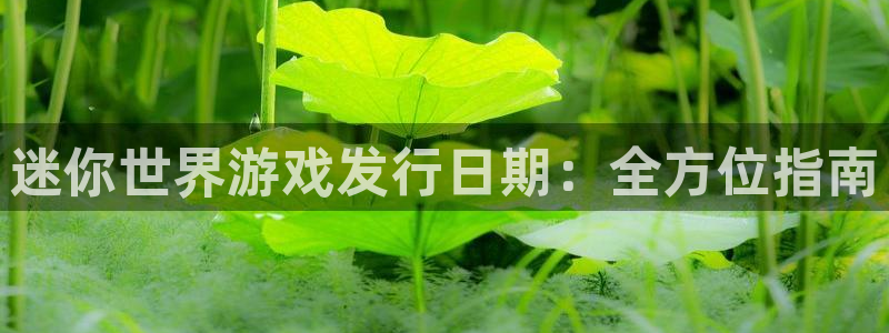 新宝gg6 创造奇迹：迷你世界游戏发行日期：全方位指南