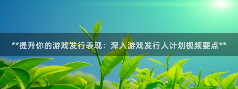 新宝gg被抓：**提升你的游戏发行表现：深入游戏发行人计划视频要点**