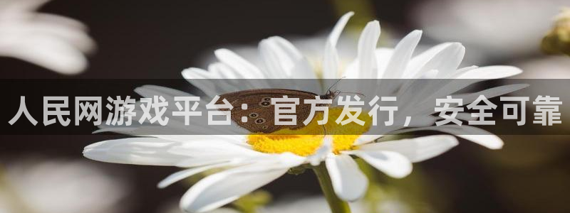新宝gg创造奇迹登录入口：人民网游戏平台：官方发行，安全可靠