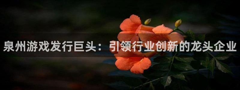 新宝gg创造奇迹官网：泉州游戏发行巨头：引领行业创新的龙头企业