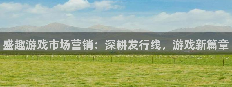 新宝测速gg：盛趣游戏市场营销：深耕发行线，游戏新篇章