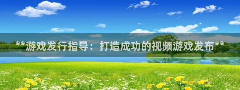 新宝gg平台―创造奇迹登录：**游戏发行指导：打造成功的视频游戏发布**