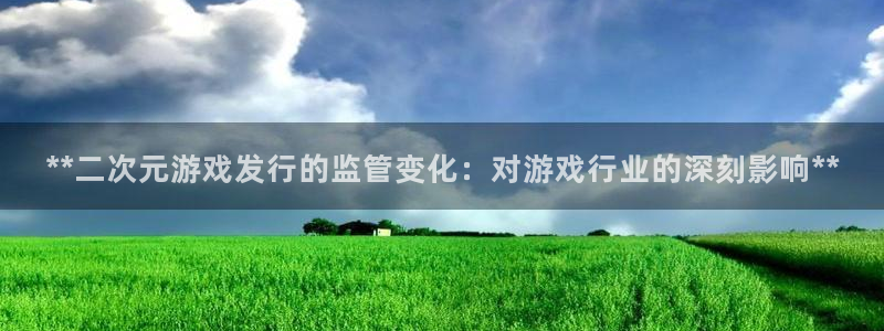 新宝gg被抓：**二次元游戏发行的监管变化：对游戏行业的深刻影响**