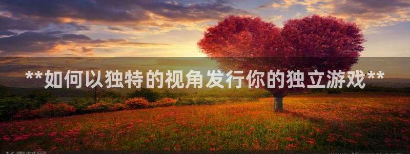 新宝gg账号注册平台：**如何以独特的视角发行你的独立游戏**