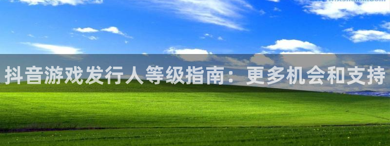 新宝gg游戏首页：抖音游戏发行人等级指南：更多机会和支持