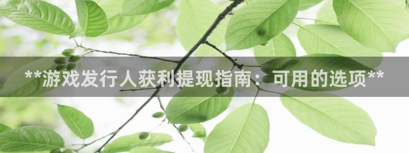 新宝gg手机版登录官网：**游戏发行人获利提现指南：可用的选项**