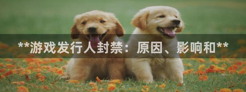 新宝gg—创造奇迹官网登录：**游戏发行人封禁：原因、影响和**