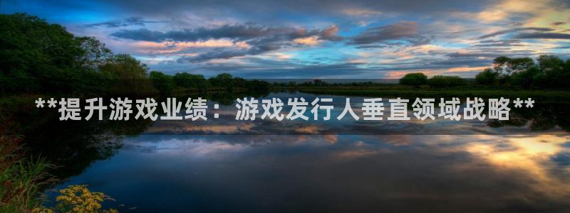 新宝gg一创造奇迹：**提升游戏业绩：游戏发行人垂直领域战略**