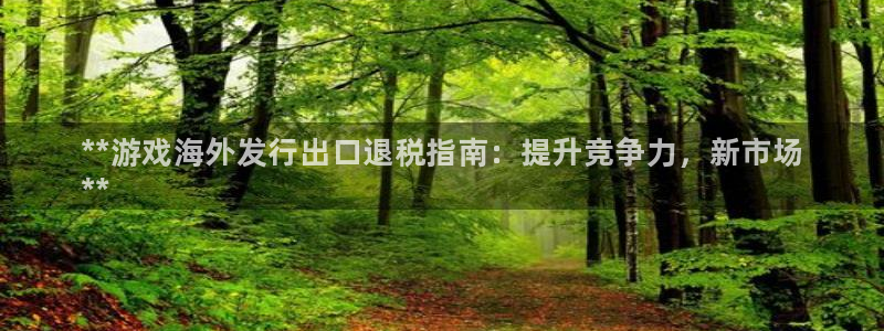 新宝GG民7O777：**游戏海外发行出口退税指南：提升竞争力，新市场
**