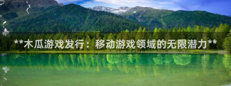 新宝gg—创造奇迹登录注册：**木瓜游戏发行：移动游戏领域的无限潜力**