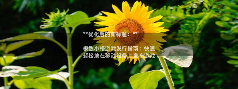 新宝gg1956注册地址：**优化后的新标题：**

极致小格游戏发行指南：快速
轻松地在移动设备上发布游戏