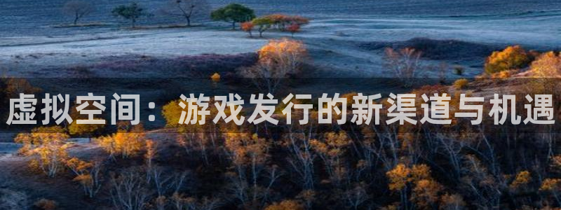 新宝gg–创造奇迹：虚拟空间：游戏发行的新渠道与机遇