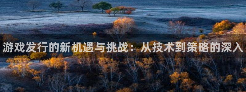 新宝gg奇迹登录怎么登录不了：游戏发行的新机遇与挑战：从技术到策略的深入