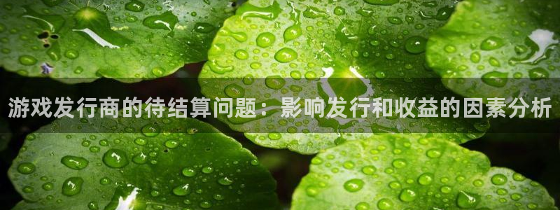 新宝gg创造奇迹登录入口：游戏发行商的待结算问题：影响发行和收益的因素分析