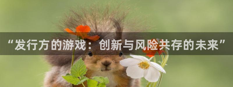 新宝gg1956注册地址：“发行方的游戏：创新与风险共存的未来”