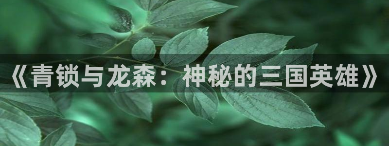 新宝gg6—创造奇迹官方登录：《青锁与龙森：神秘的三国英雄》