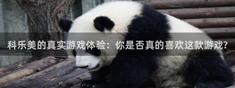 新宝gg创造奇迹登录最简单三个步骤：科乐美的真实游戏体验：你是否真的喜欢这款游戏?