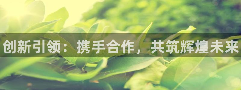 新宝gg创造奇迹登录