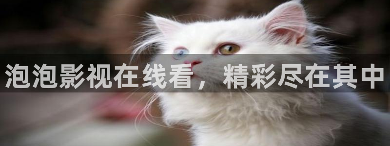 青青草原精品在线：泡泡影视在线看，精彩尽在其中