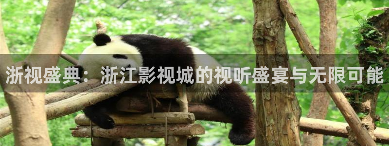 青青青在线视频播放