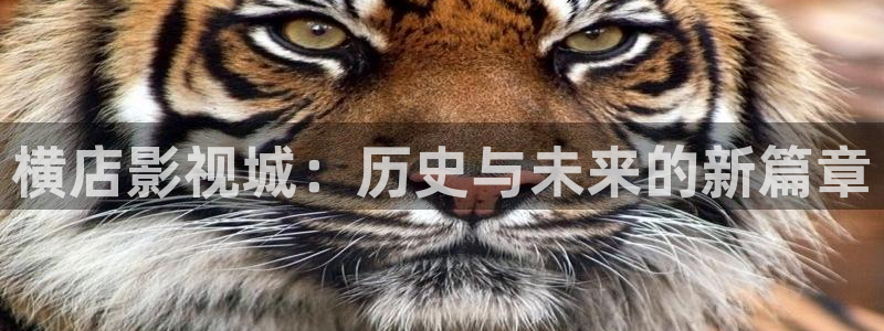 青青草原影视