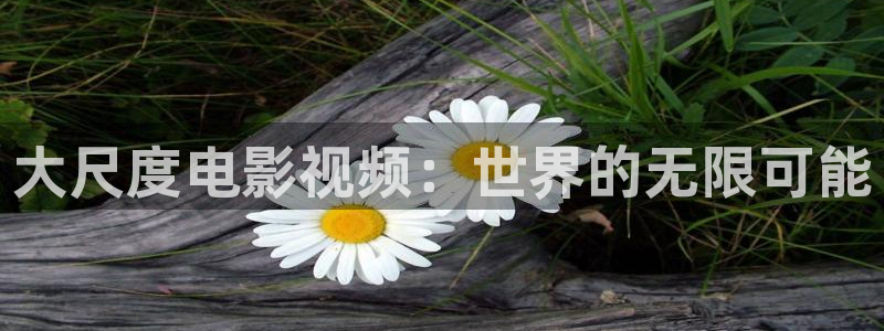 青青草原队